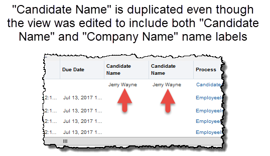 Result of adding Protected Flex Field assigned multiple labels